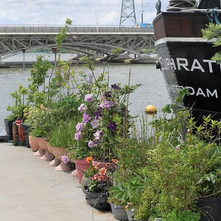 Bed and Breakfast Wheelhouse Euphrate Houseboat Diemerbrug Exterior foto
